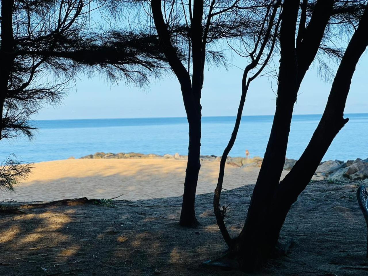 Omeesha Beach Hotel Калпития Экстерьер фото